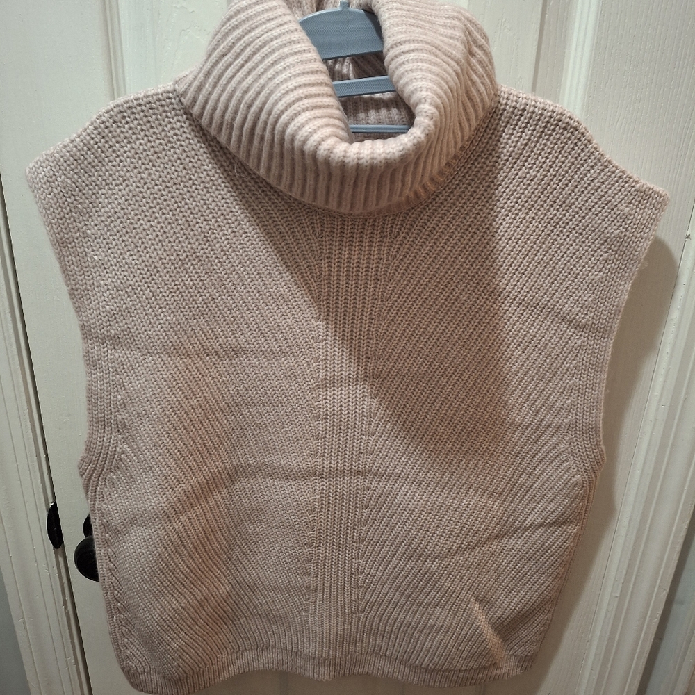 Express Sweater Vest
